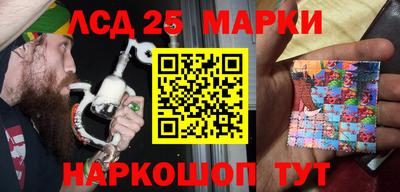 крисы Гатчина