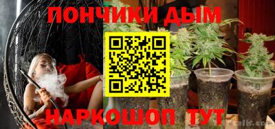 гидра Гай
