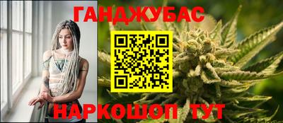 гидра Гай