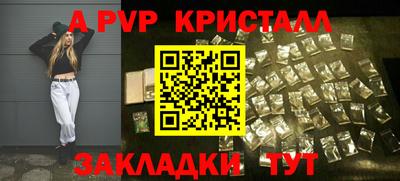крисы Гатчина