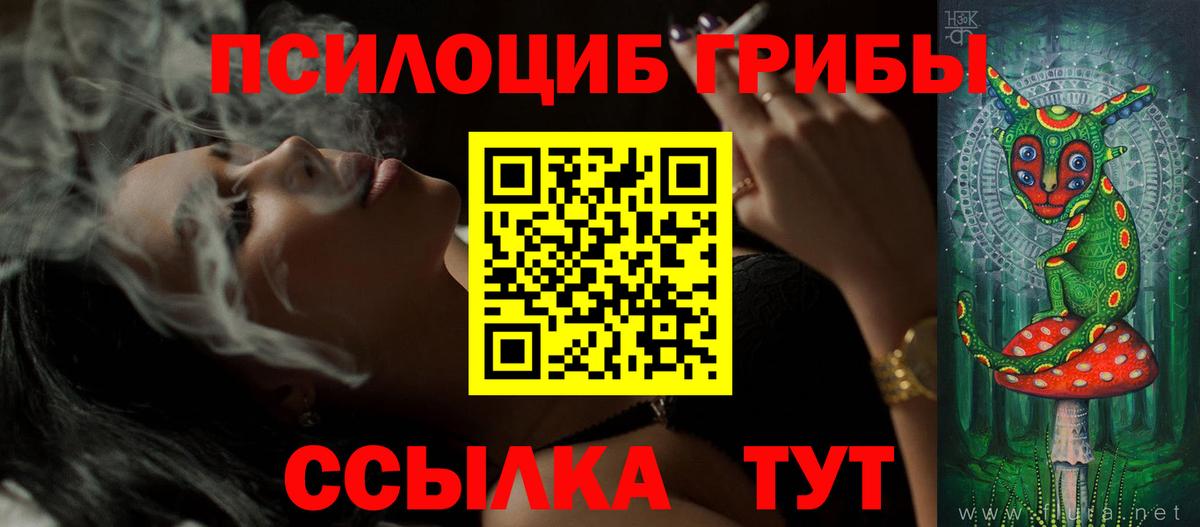 Галлюциногенные грибы GOLDEN TEACHER  Вход с VPN  Новодвинск 